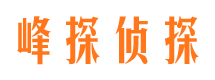 莱山市调查公司